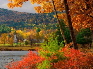 Autumn trees beside a pond, with a wooded hillside and village beyond.