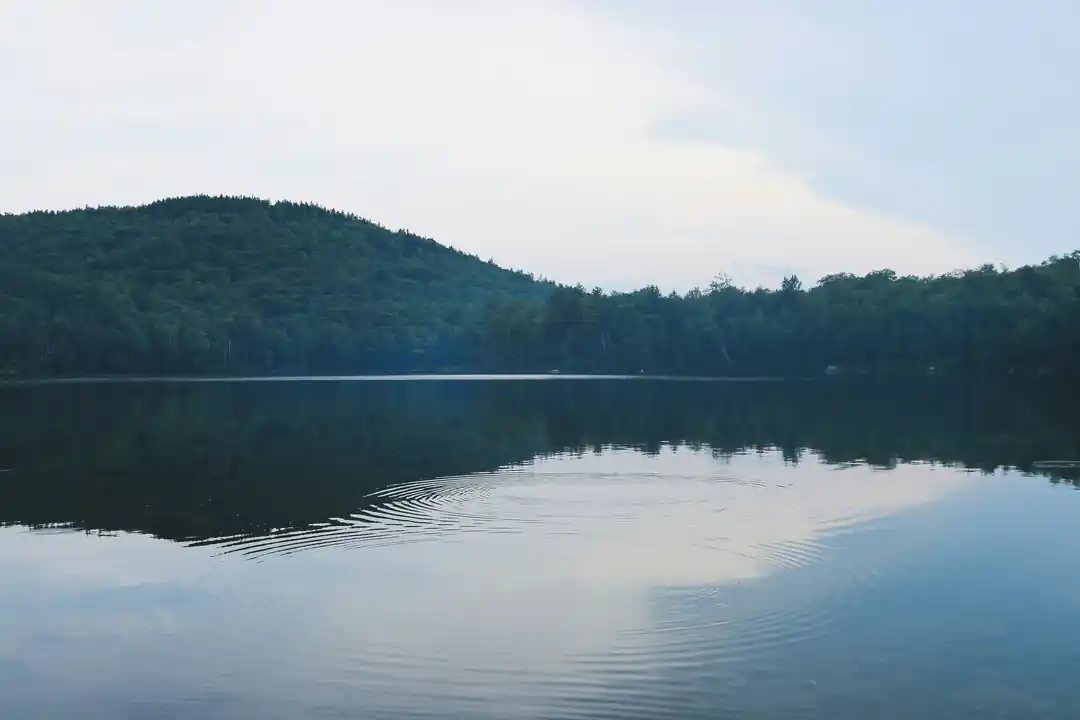 Calm summer lake and forest in the White Mountains, New Hampshire